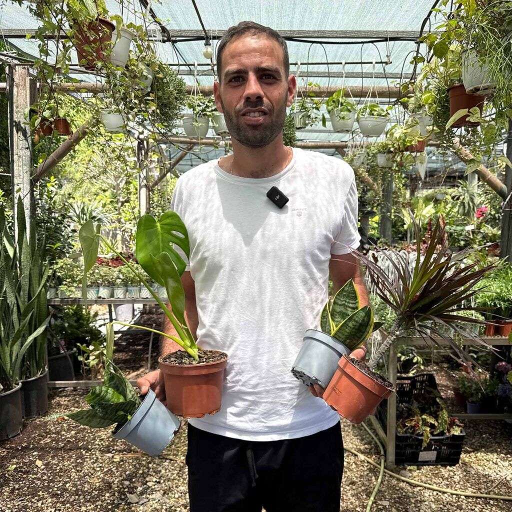 5 ב- 200 שח- צמחי בית